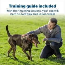 PetSafe Stubborn Dog Stay+Play Wireless Fence Receiver Collar -PetSafe Kong Shop 67058 PT3. AC SS1800 V1685727310