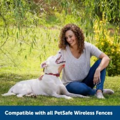 PetSafe Stubborn Dog Stay+Play Wireless Fence Receiver Collar -PetSafe Kong Shop 67058 PT6. AC SS1800 V1657661018