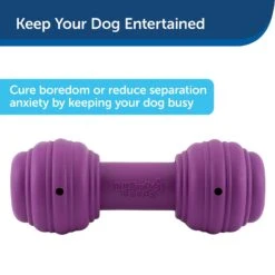 PetSafe Busy Buddy Chuckle Squeaky Treat Dispenser Dog Toy -PetSafe Kong Shop 67197 PT3. AC SS1800 V1602303964