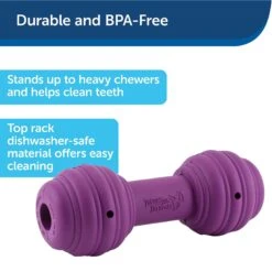 PetSafe Busy Buddy Chuckle Squeaky Treat Dispenser Dog Toy -PetSafe Kong Shop 67197 PT4. AC SS1800 V1602286263