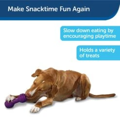 PetSafe Busy Buddy Chuckle Squeaky Treat Dispenser Dog Toy -PetSafe Kong Shop 67197 PT7. AC SS1800 V1602285959