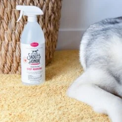 Skout's Honor Stop Marking! Preventative Dog Spray 10 Skout's Honor Stop Marking! Preventative Dog Spray -PetSafe Kong Shop 674918 PT4. AC SS1800 V1667353418