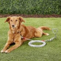 Four Paws Super Weight Tie Out Cable -PetSafe Kong Shop 67697 PT8. AC SS1800 V1522176556