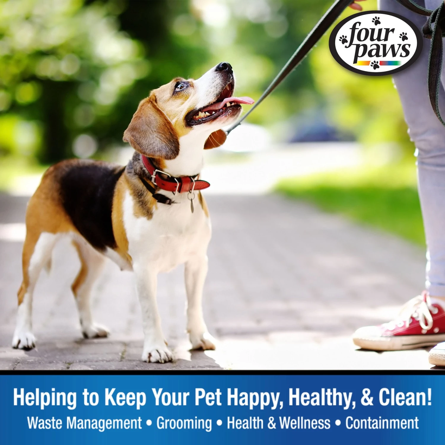 Four Paws Puppy Tie Out Cable 3 Four Paws Puppy Tie Out Cable - Image 3