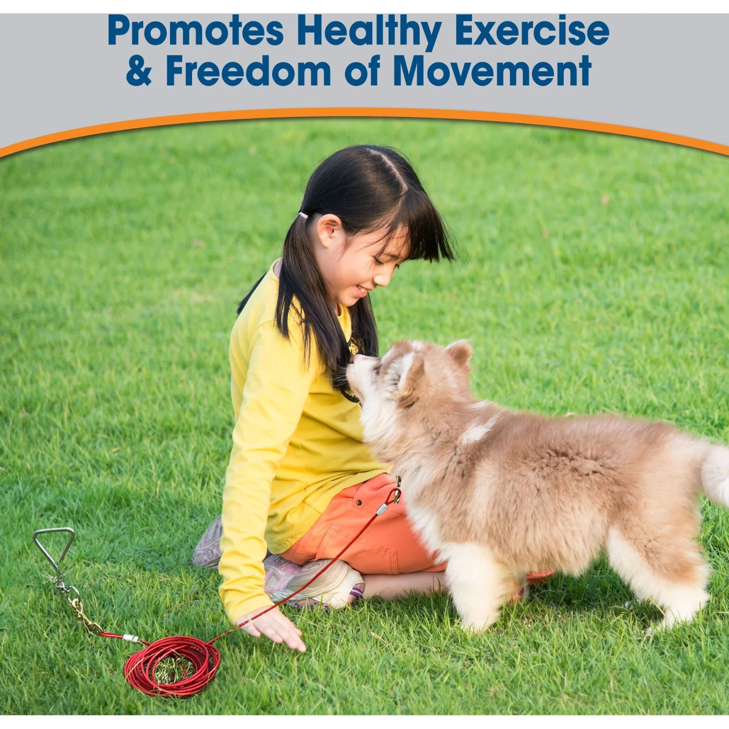 Four Paws Puppy Tie Out Cable 5 Four Paws Puppy Tie Out Cable - Image 5