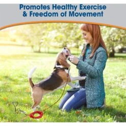 Four Paws Walk-About Spiral Tie-Out Stake 11 Four Paws Walk-About Spiral Tie-Out Stake -PetSafe Kong Shop 67715 PT5. AC SS1800 V1627350426