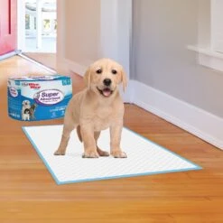 Four Paws Wee-Wee Super Absorbent Dog Pads & Cadet Gourmet Beef Hide & Duck Twist Sticks Dog Treats, 5-in -PetSafe Kong Shop 678430 PT3. AC SS1800 V1667864457