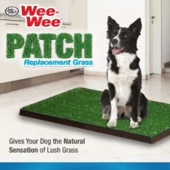 Wee-Wee Patch Replacement Grass Mat -PetSafe Kong Shop 67846 PT4. AC SS1800 V1657661019