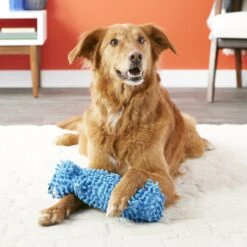 Multipet Loofa Floppy Water Bottle Buddies Squeaky Plush Dog Toy, Color Varies -PetSafe Kong Shop 68079 PT2. AC SS1800 V1530544374