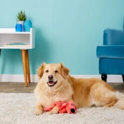 Multipet Loofa Squeaker Mat Soft Plush Dog Toy, Color Varies -PetSafe Kong Shop 68083 PT2. AC SS1800 V1530544396