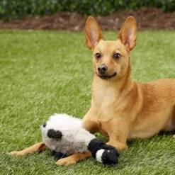 Multipet Migrator Bird Canadian Goose Squeaky Plush Dog Toy -PetSafe Kong Shop 68127 PT2. AC SS1800 V1545172046