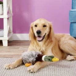 Multipet Migrator Bird Mallard Squeaky Plush Dog Toy -PetSafe Kong Shop 68131 PT2. AC SS1800 V1545172067
