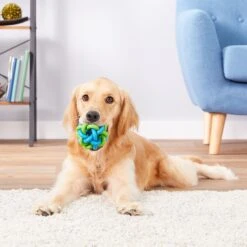 Multipet Nobbly Wobbly Ball Dog Toy, Color Varies -PetSafe Kong Shop 68138 PT3. AC SS1800 V1545172125