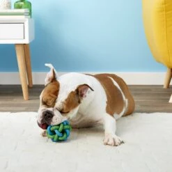Multipet Nobbly Wobbly Ball Dog Toy, Color Varies -PetSafe Kong Shop 68138 PT4. AC SS1800 V1545172134