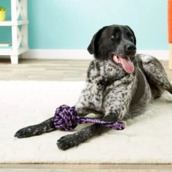 Multipet Nuts For Knots Heavy Duty Rope With Tug Dog Toy, Color Varies 7 Multipet Nuts For Knots Heavy Duty Rope With Tug Dog Toy, Color Varies -PetSafe Kong Shop 68149 PT8. AC SS1800 V1507035612