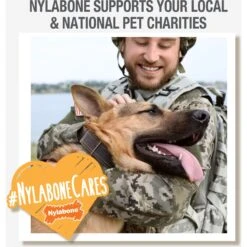 Nylabone Creative Play Tuug & Springa Interactive Dog Toy Bundle -PetSafe Kong Shop 684878 PT8. AC SS1800 V1679081895