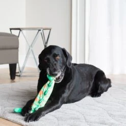 Fat Cat Water Bottle Crunchers Dog Toy, Character Varies -PetSafe Kong Shop 68609 PT2. AC SS1800 V1602336363