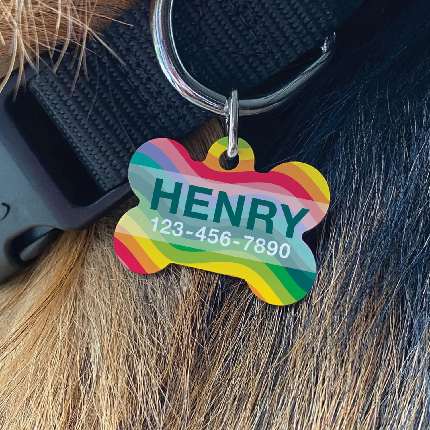 Custom Personalization Solutions Rainbow Wave Personalized Pet Tag 2 Custom Personalization Solutions Rainbow Wave Personalized Pet Tag - Image 2