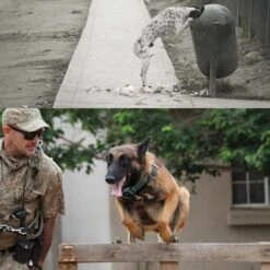 PATPET P920B Outdoor Dedicated 1300M Remote Dog Training Collar, Dark Green, 2 Count -PetSafe Kong Shop 686254 PT4. AC SS1800 V1666652338