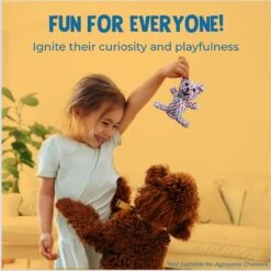 SunGrow Teddy Bear Dog & Small Pet Dental Chews Toy, 5-in -PetSafe Kong Shop 686406 PT2. AC SS1800 V1692806969