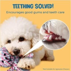 SunGrow Teddy Bear Dog & Small Pet Dental Chews Toy, 5-in -PetSafe Kong Shop 686406 PT3. AC SS1800 V1692806969