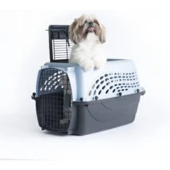 Petmate Two Door Top Load Dog & Cat Kennel 12 Petmate Two Door Top Load Dog & Cat Kennel -PetSafe Kong Shop 68695 PT5. AC SS1800 V1553876549