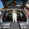 PetSafe Happy Ride Foldable Dog Car Ramp