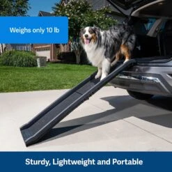 PetSafe Happy Ride Foldable Dog Car Ramp -PetSafe Kong Shop 68759 PT4. AC SS1800 V1646089586