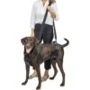 PetSafe CareLift Handicapped Support Dog Harness