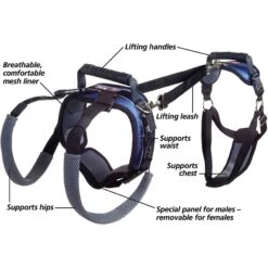 PetSafe CareLift Handicapped Support Dog Harness 10 PetSafe CareLift Handicapped Support Dog Harness -PetSafe Kong Shop 68838 PT2. AC SS1800 V1617331137