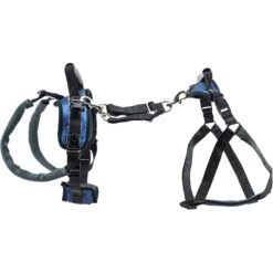 PetSafe CareLift Handicapped Support Dog Harness 11 PetSafe CareLift Handicapped Support Dog Harness -PetSafe Kong Shop 68838 PT3. AC SS1800 V1617317606
