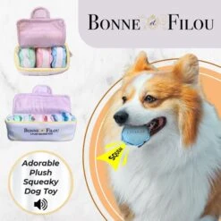 Bonne Et Filou Macaron Plush Squeaky Dog Toy -PetSafe Kong Shop 689886 PT2. AC SS1800 V1667519954