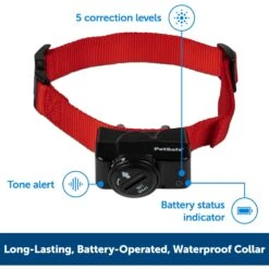 PetSafe Wireless Containment System + 2 Items -PetSafe Kong Shop 693910 PT6. AC SS1800 V1668637250