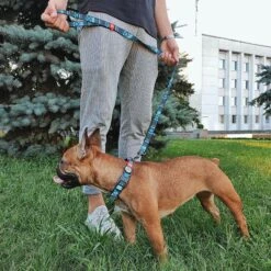 WAUDOG Nylon Dog Leash -PetSafe Kong Shop 696406 PT4. AC SS1800 V1668551060