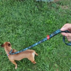 WAUDOG Nylon Dog Leash -PetSafe Kong Shop 696406 PT5. AC SS1800 V1668550639