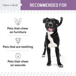 Chew + Heal No Chew Dog & Cat Spray, 8-oz Bottle -PetSafe Kong Shop 696870 PT4. AC SS1800 V1686172459