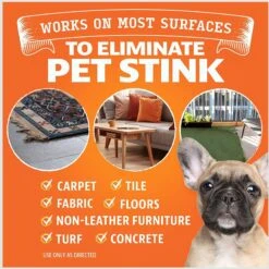 Angry Orange RTU Orange Scented Carpet Odor Eliminator, 128-oz Bottle -PetSafe Kong Shop 697982 PT2. AC SS1800 V1670011703