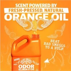 Angry Orange RTU Orange Scented Carpet Odor Eliminator, 128-oz Bottle -PetSafe Kong Shop 697982 PT5. AC SS1800 V1670011703