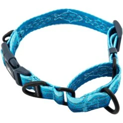 Leashboss Patterned Fabric Martingale Dog Collar -PetSafe Kong Shop 698566 PT4. AC SS1800 V1669942475