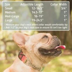 Leashboss Chain Martingale Dog Collar 8 Leashboss Chain Martingale Dog Collar -PetSafe Kong Shop 698742 PT2. AC SS1800 V1669930636