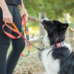 Leashboss Chain Martingale Dog Collar 11 Leashboss Chain Martingale Dog Collar -PetSafe Kong Shop 698742 PT5. AC SS1800 V1669930577