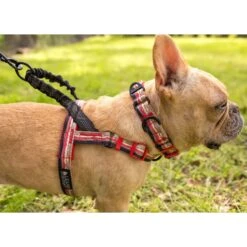 Leashboss Patterned No Pull Dog Harness -PetSafe Kong Shop 698814 PT4. AC SS1800 V1669947354