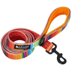 Leashboss Patterned Standard Dog Leash, 6-ft Long