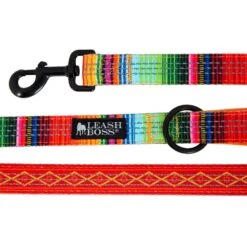 Leashboss Patterned Standard Dog Leash, 6-ft Long -PetSafe Kong Shop 698934 PT2. AC SS1800 V1669946124