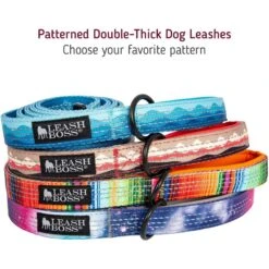 Leashboss Patterned Standard Dog Leash, 6-ft Long -PetSafe Kong Shop 698934 PT3. AC SS1800 V1669929579