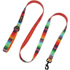 Leashboss Patterned Standard Dog Leash, 6-ft Long -PetSafe Kong Shop 698934 PT4. AC SS1800 V1669929517