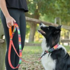 Leashboss Patterned Standard Dog Leash, 6-ft Long -PetSafe Kong Shop 698934 PT5. AC SS1800 V1669930105