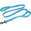 Leashboss Two Handle Dog Leash, 6-ft Long