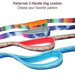 Leashboss Two Handle Dog Leash, 6-ft Long 9 Leashboss Two Handle Dog Leash, 6-ft Long -PetSafe Kong Shop 698990 PT3. AC SS1800 V1669946391
