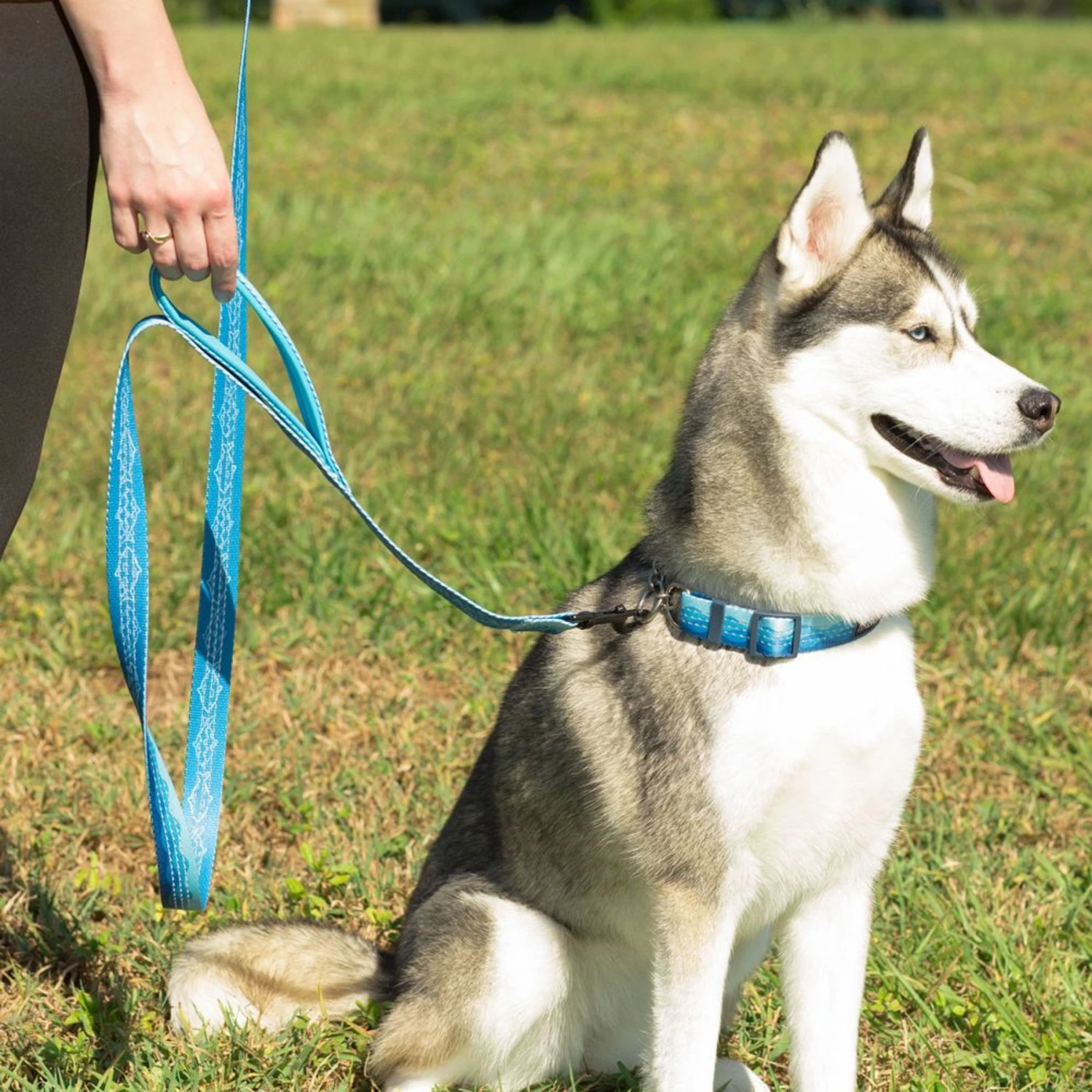 Leashboss Two Handle Dog Leash, 6-ft Long 6 Leashboss Two Handle Dog Leash, 6-ft Long - Image 6